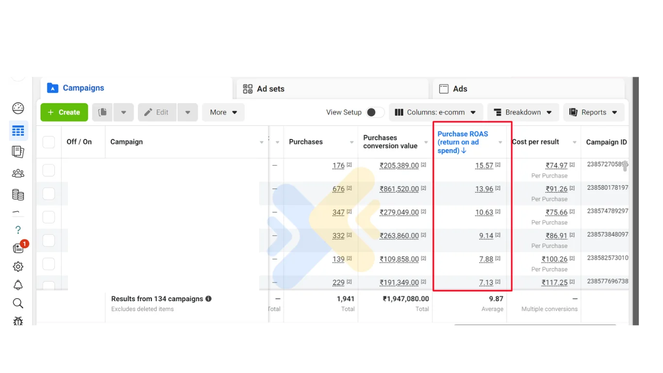 Meta Ads campaign portfolio showing results from 134 campaigns